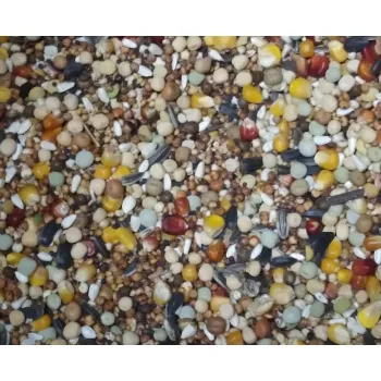 ZENEK karma Pierzeniowa bez pszenicy dla gołębi 25 kg